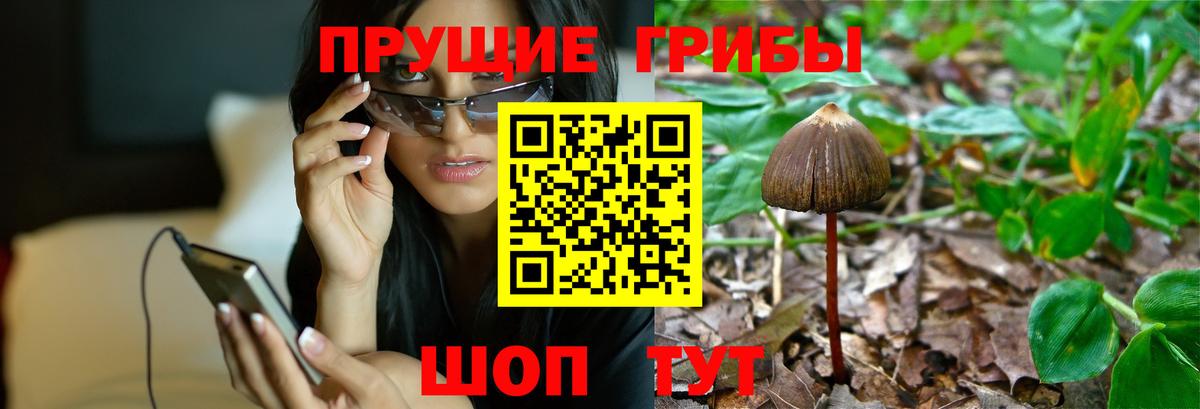 Галлюциногенные грибы мицелий Бахчисарай